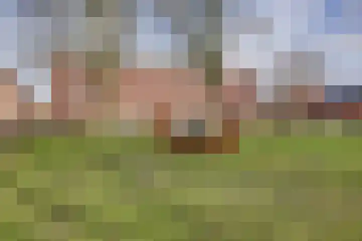 Jerusalem 1 Venray thumbnail 39
