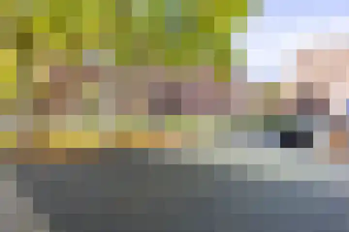 Jerusalem 1 Venray thumbnail 4