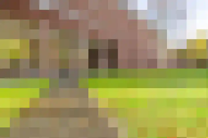 Jerusalem 1 Venray thumbnail 5
