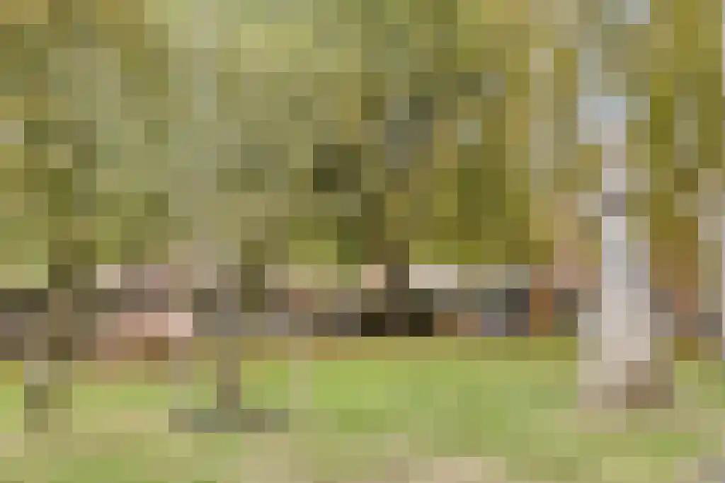 Jerusalem 11 Venray thumbnail 33