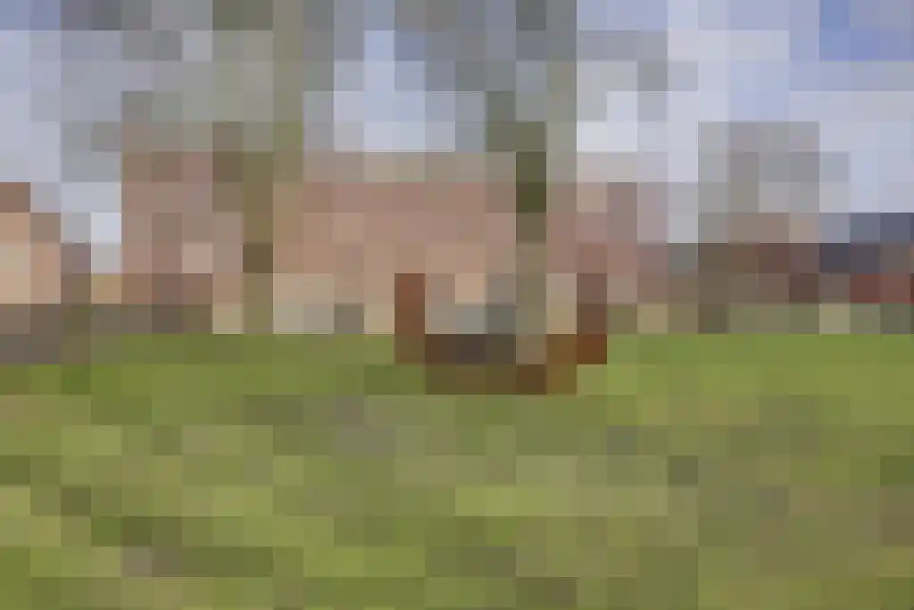 Jerusalem 11 Venray thumbnail 34