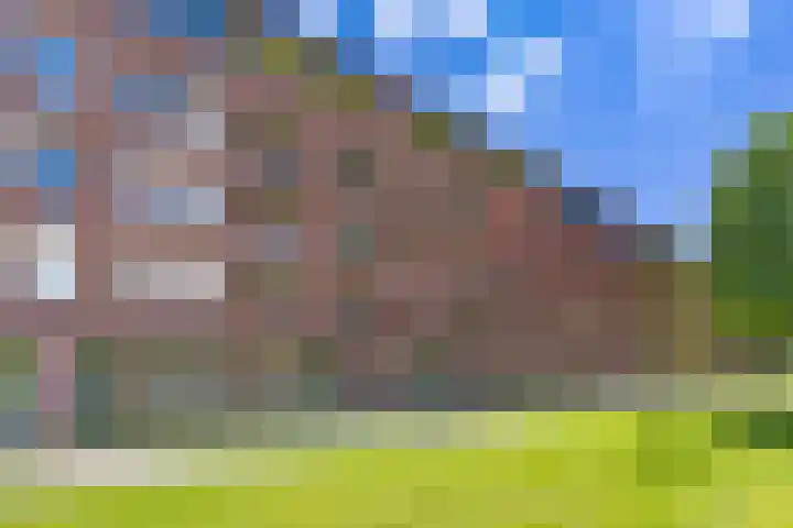 Jerusalem 37 in Venray