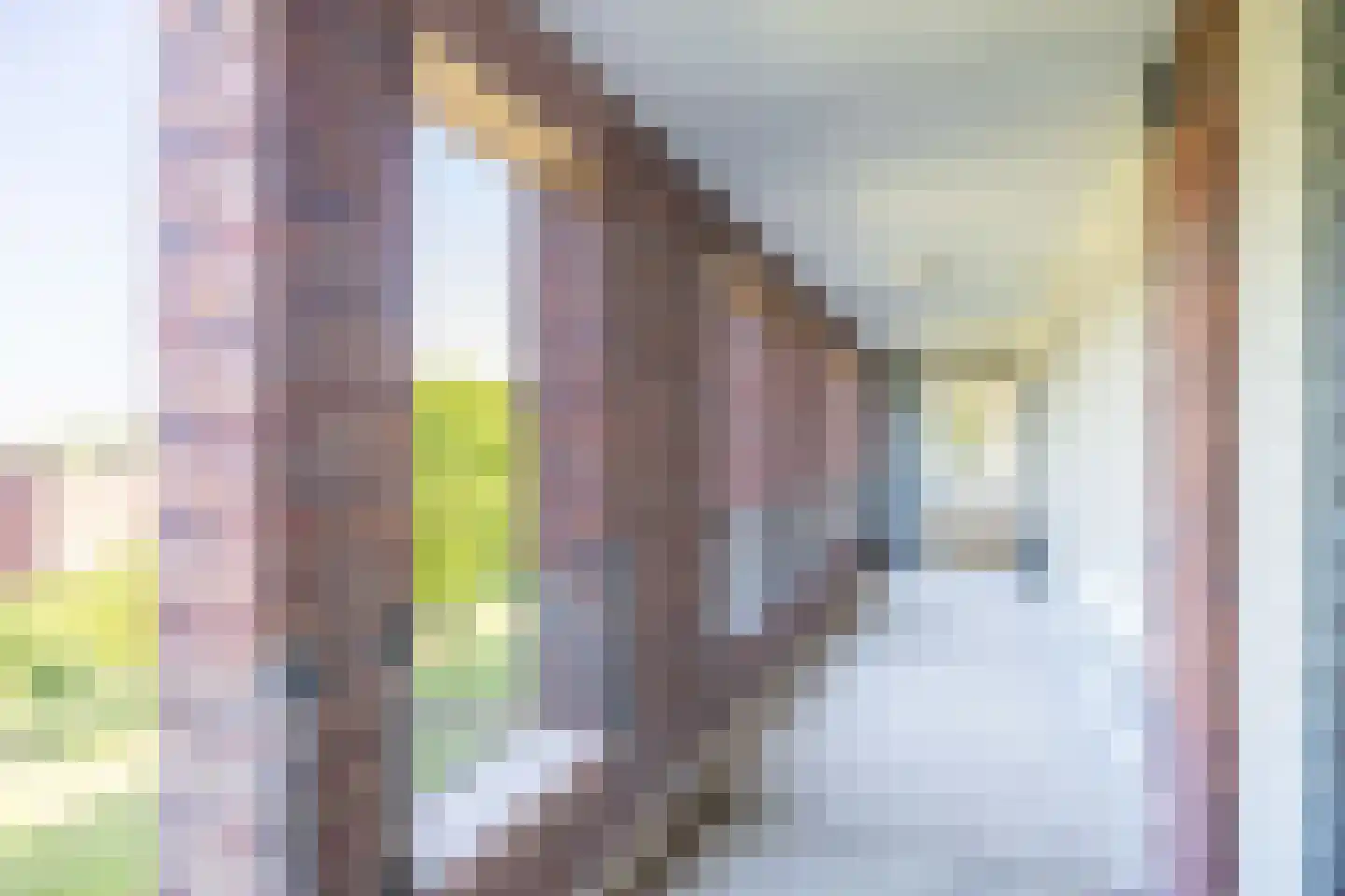 Jerusalem 38 Venray thumbnail 32