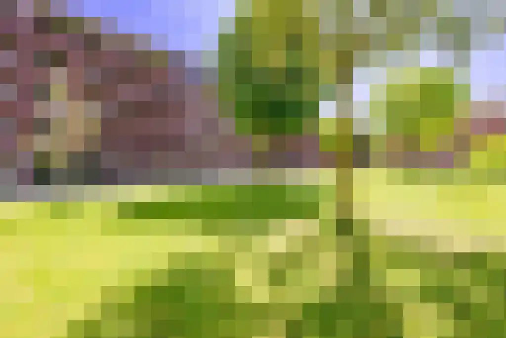 Jerusalem 38 Venray thumbnail 41