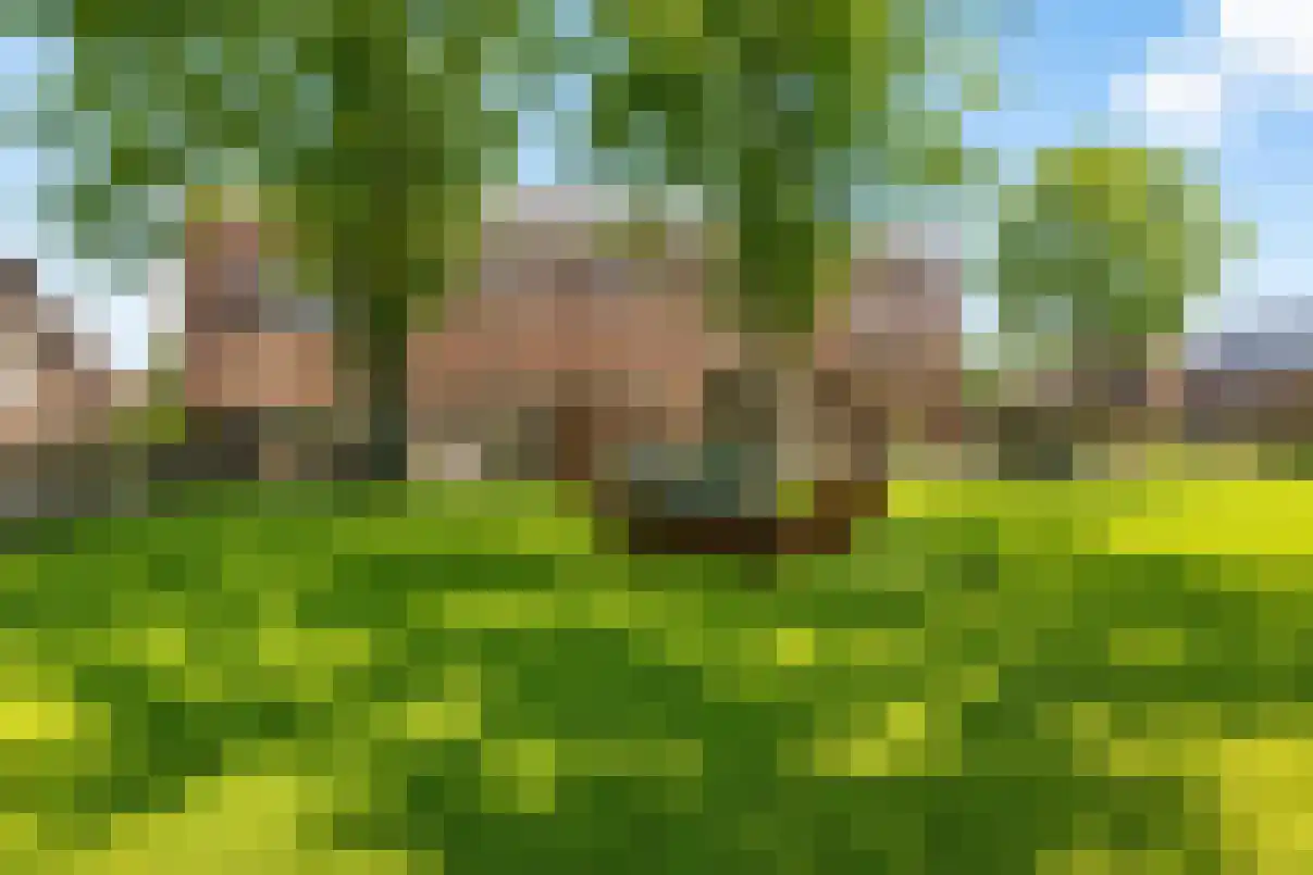 Jerusalem 38 Venray thumbnail 44