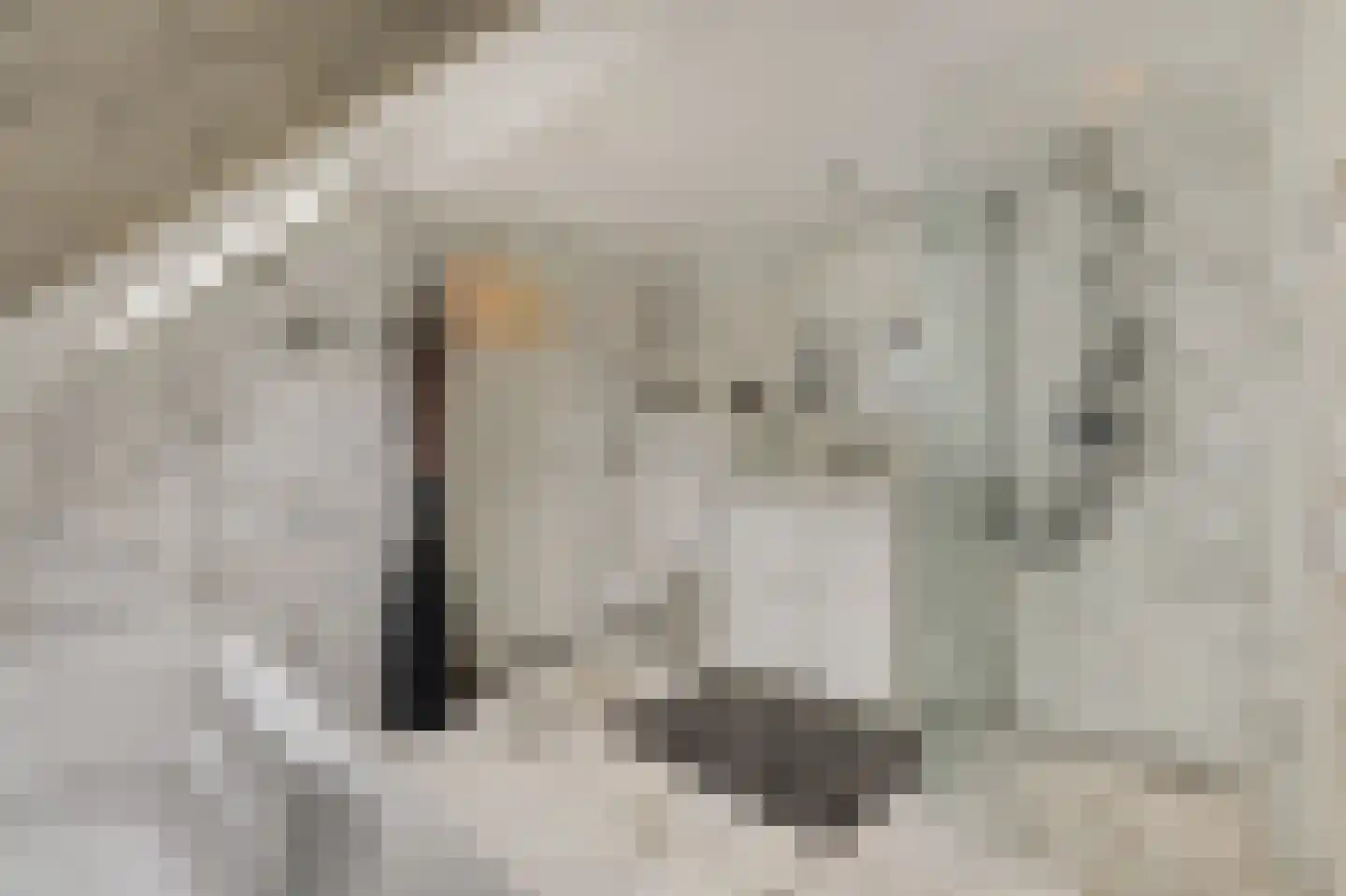 Jeruzalem 21 Velp thumbnail 31
