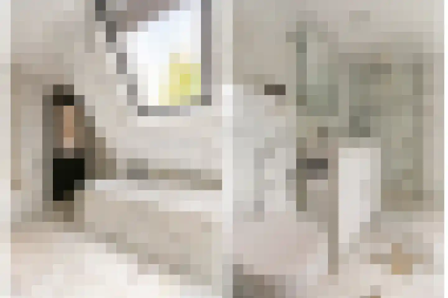 Jeruzalem 21 Velp thumbnail 33