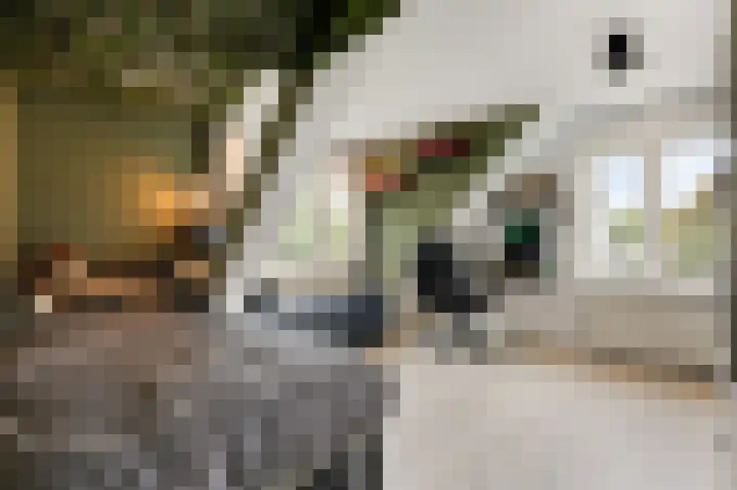 Jeruzalem 21 Velp thumbnail 38