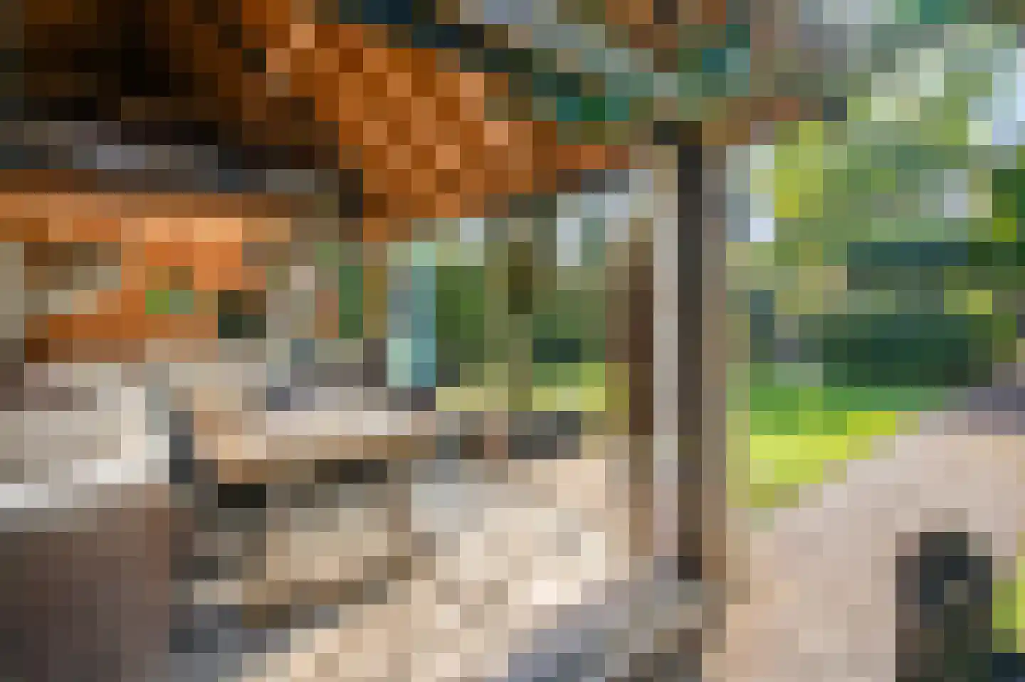 Jeruzalem 21 Velp thumbnail 50