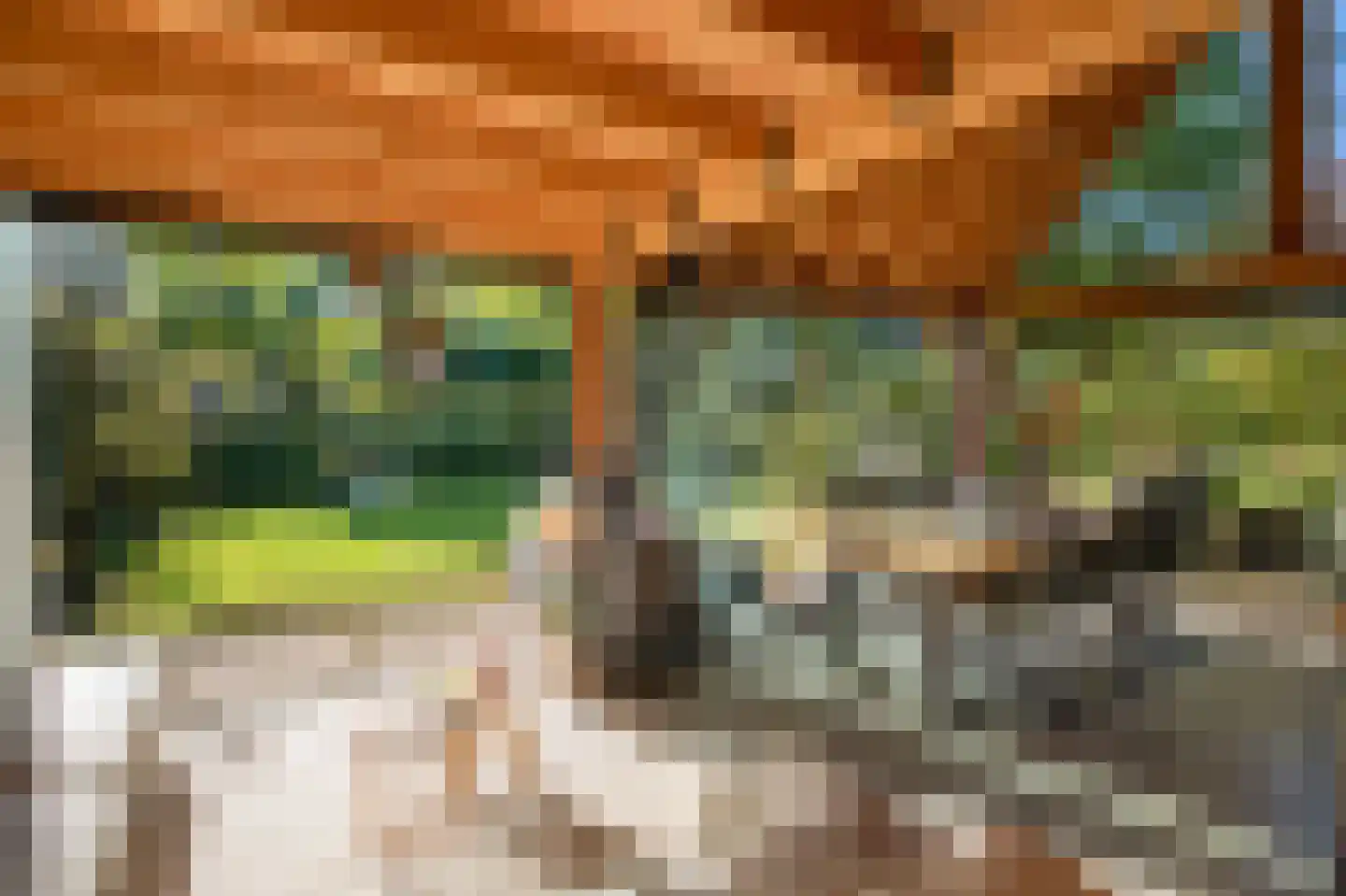 Jeruzalem 21 Velp thumbnail 53