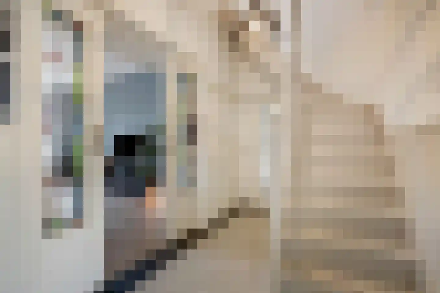 Jeruzalem 21 Velp thumbnail 8