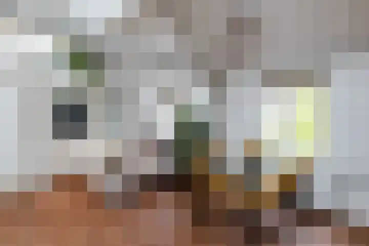 Jeruzalemstraat 12 E Utrecht thumbnail 5