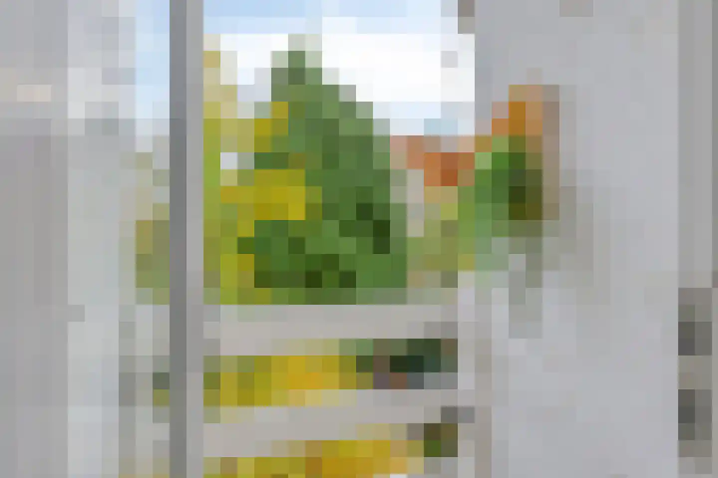 Jeruzalemstraat 20 B Rotterdam thumbnail 20