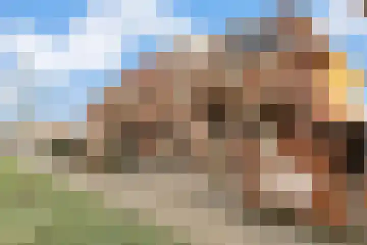 Jeruzalemweg 26 Nijverdal thumbnail 32