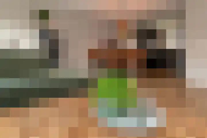 Jeruzalemweg 29 Nijverdal thumbnail 7