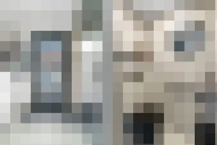 Jeruzalemweg 3 Nijverdal thumbnail 13