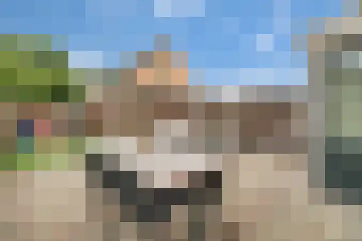 Jeruzalemweg 3 Nijverdal thumbnail 26