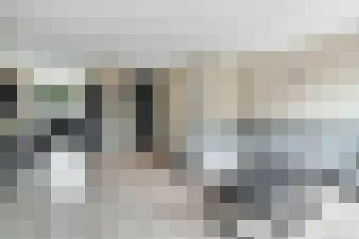 Jeruzalemweg 3 Nijverdal thumbnail 7