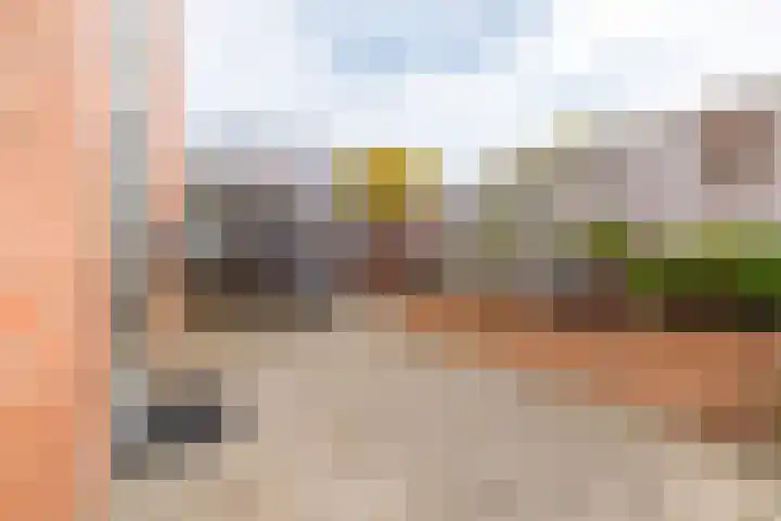 Jeruzalemweg 30 Nijverdal thumbnail 43