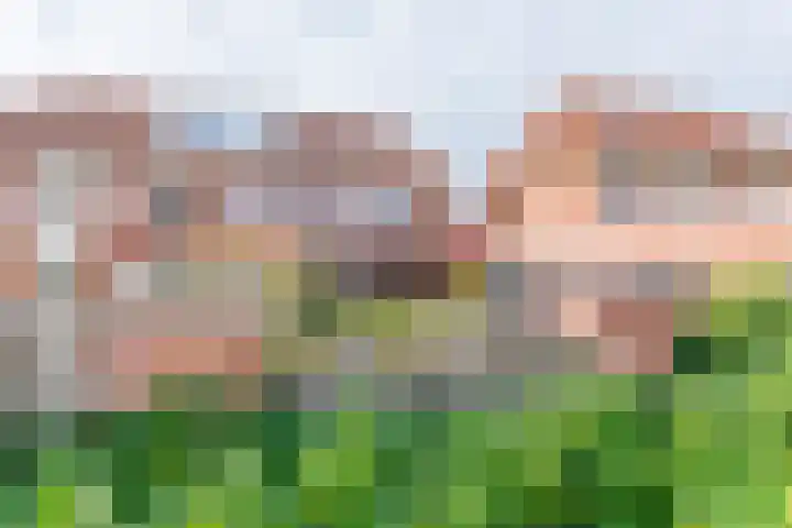 Jeruzalemweg 30 Nijverdal thumbnail 45
