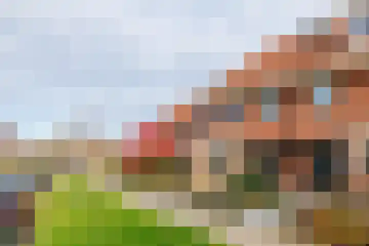 Jeruzalemweg 30 Nijverdal thumbnail 5
