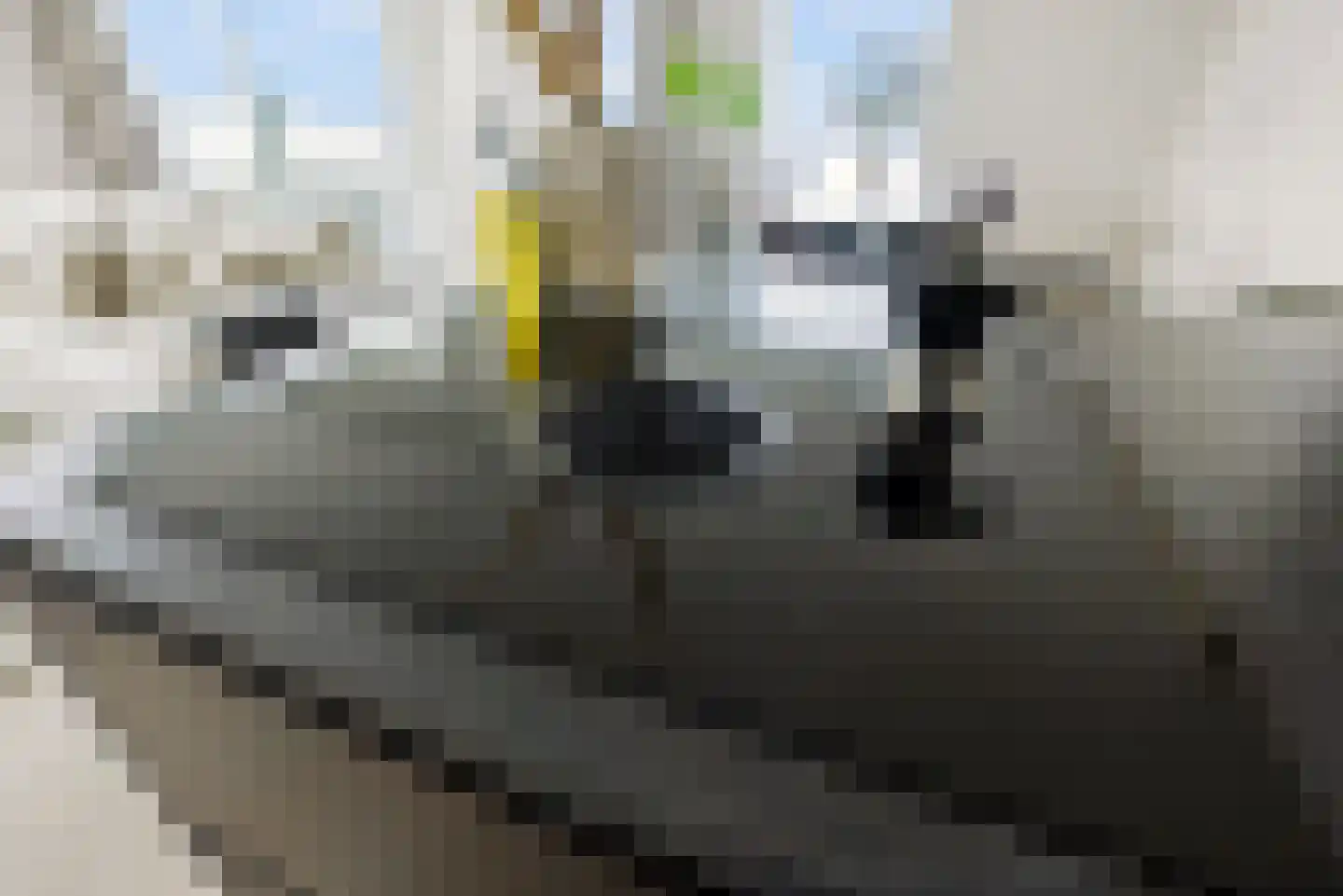 Jesse Owenspad 66 Almere thumbnail 32