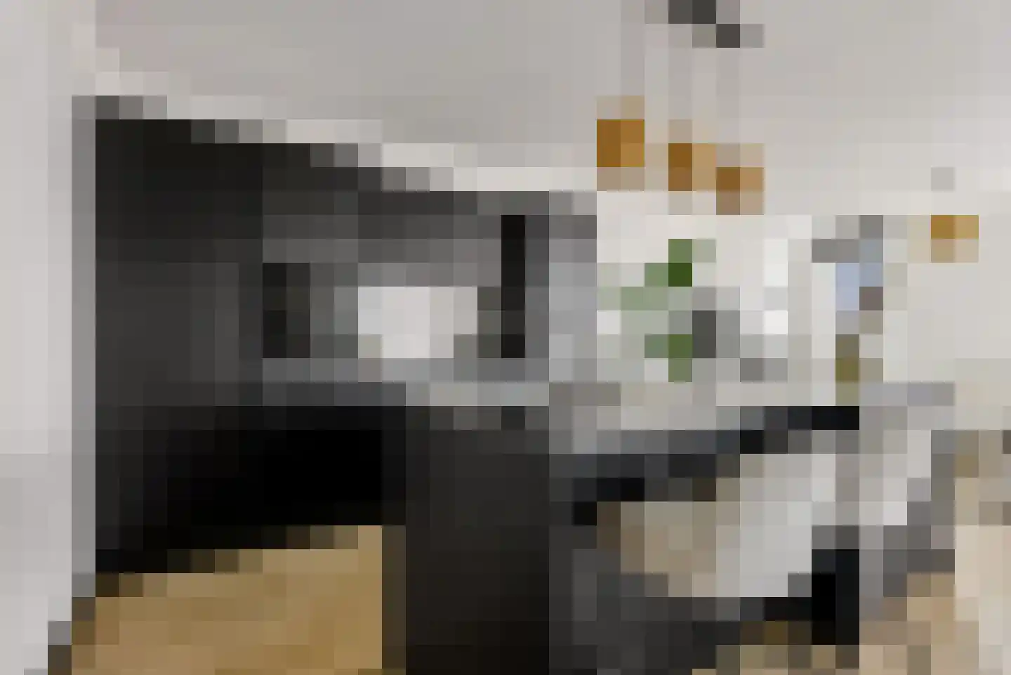 Jesse Owenspad 66 Almere thumbnail 33