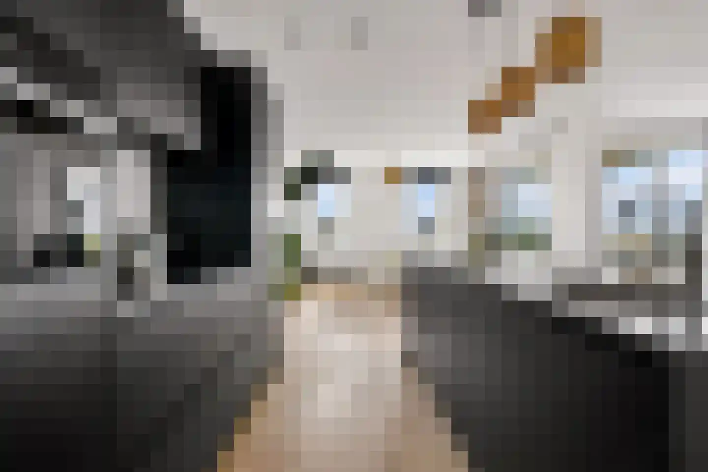 Jesse Owenspad 66 Almere thumbnail 36