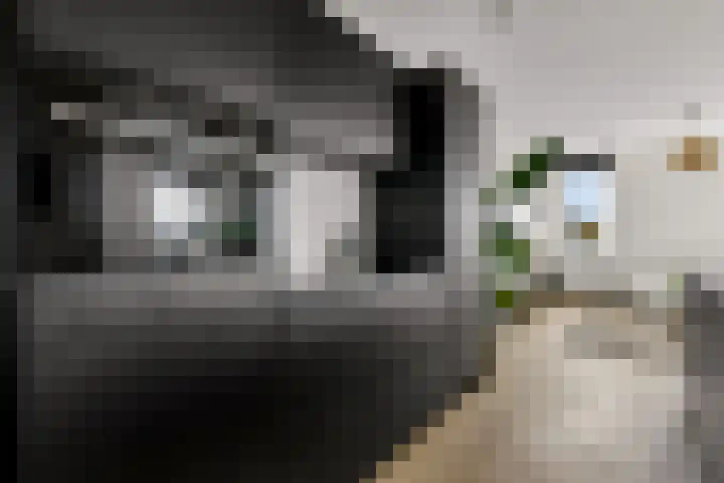 Jesse Owenspad 66 Almere thumbnail 38