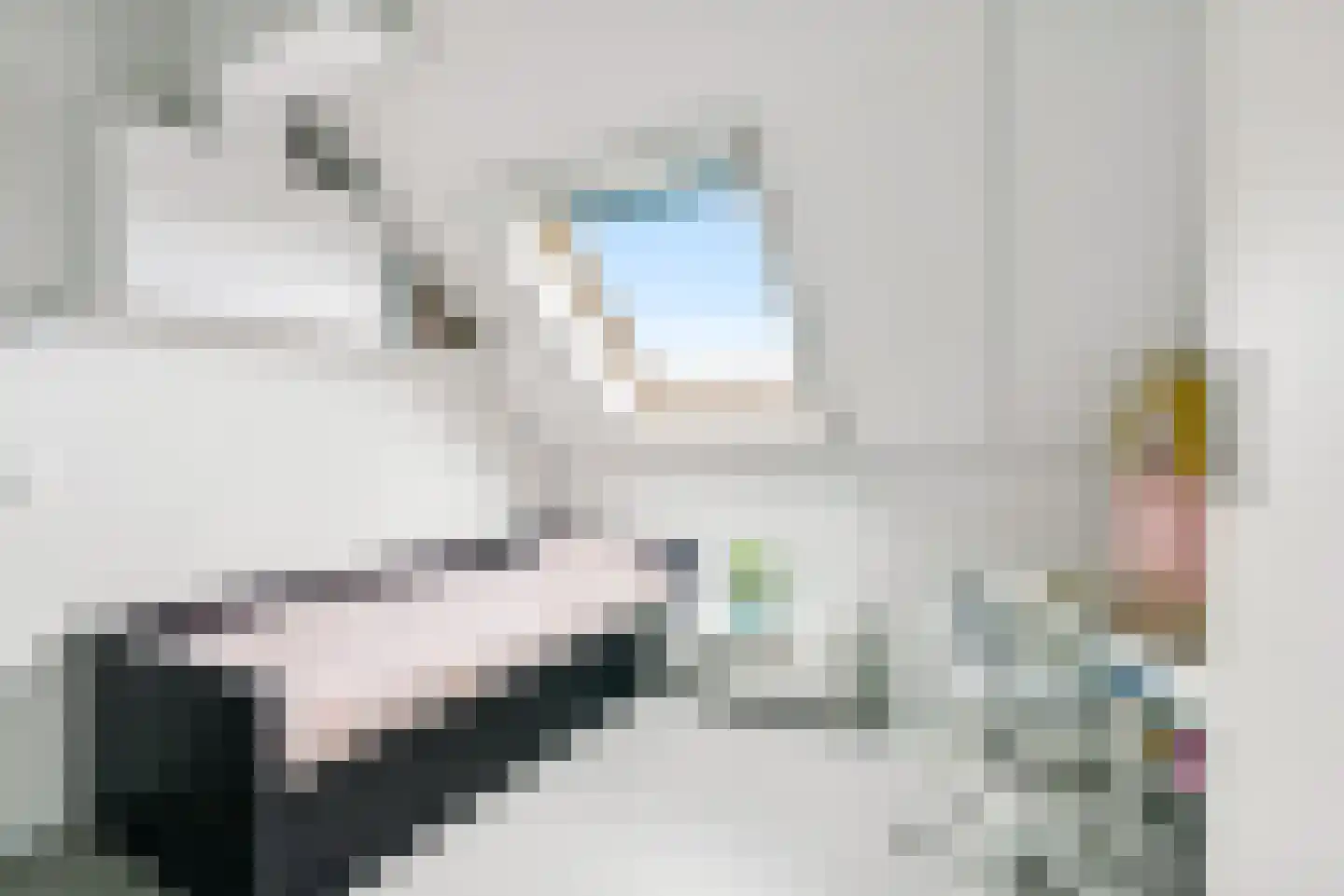 Jesse Owensstraat 4 Almere thumbnail 41