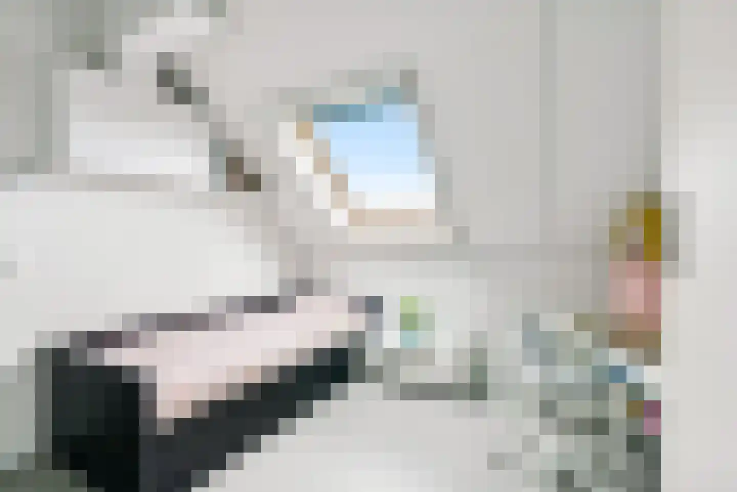 Jesse Owensstraat 4 Almere thumbnail 41