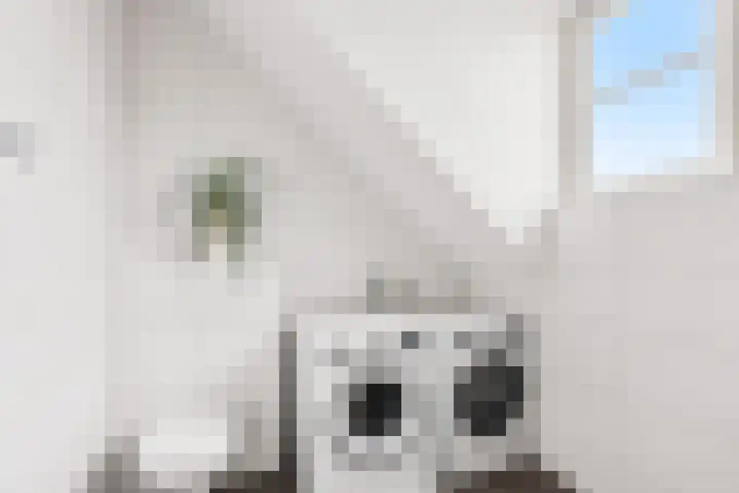 Jesse Owensstraat 4 Almere thumbnail 43