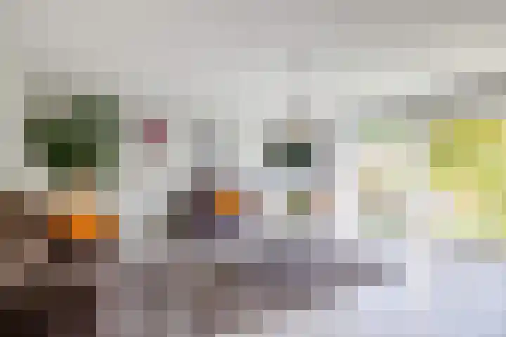 Jessicagang 12 Zoetermeer thumbnail 13