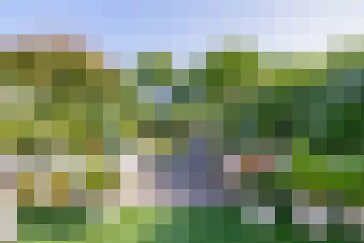 Jessicagang 12 Zoetermeer thumbnail 24