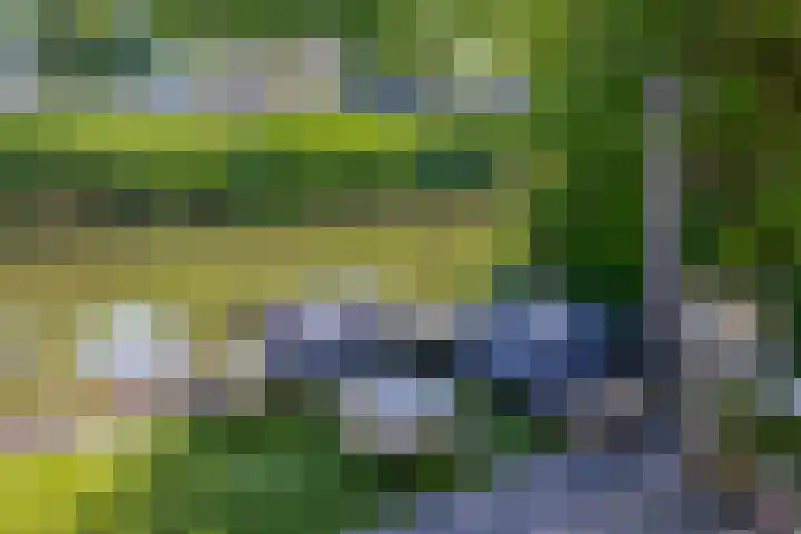 Jessicagang 12 Zoetermeer thumbnail 27