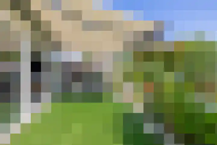 Jessicagang 12 Zoetermeer thumbnail 29