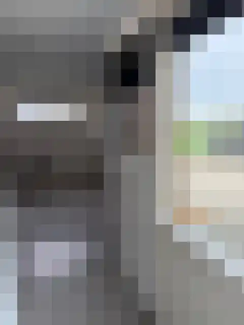 Jetze Veldstraweg 14 Ouwsterhaule thumbnail 6