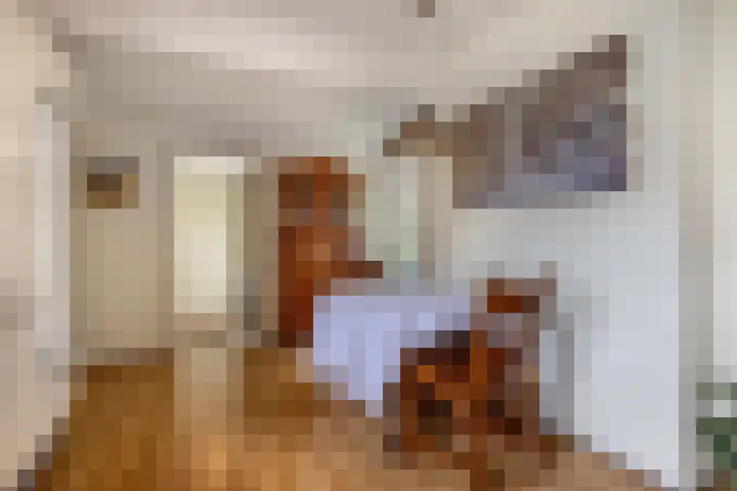 Jetze Veldstraweg 4 Ouwsterhaule thumbnail 16