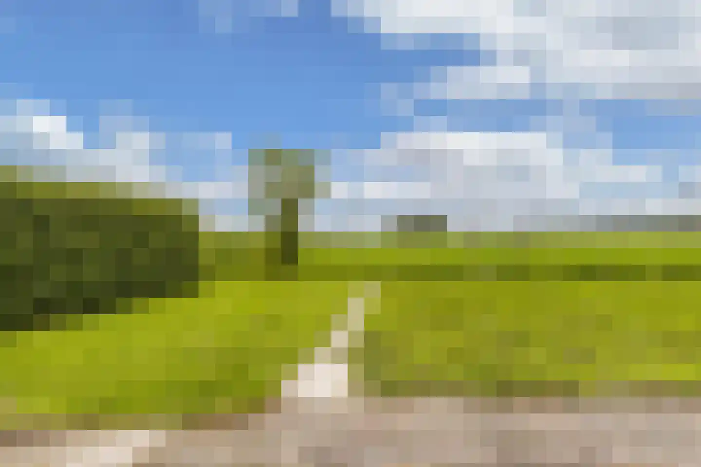 Jetze Veldstraweg 4 Ouwsterhaule thumbnail 39