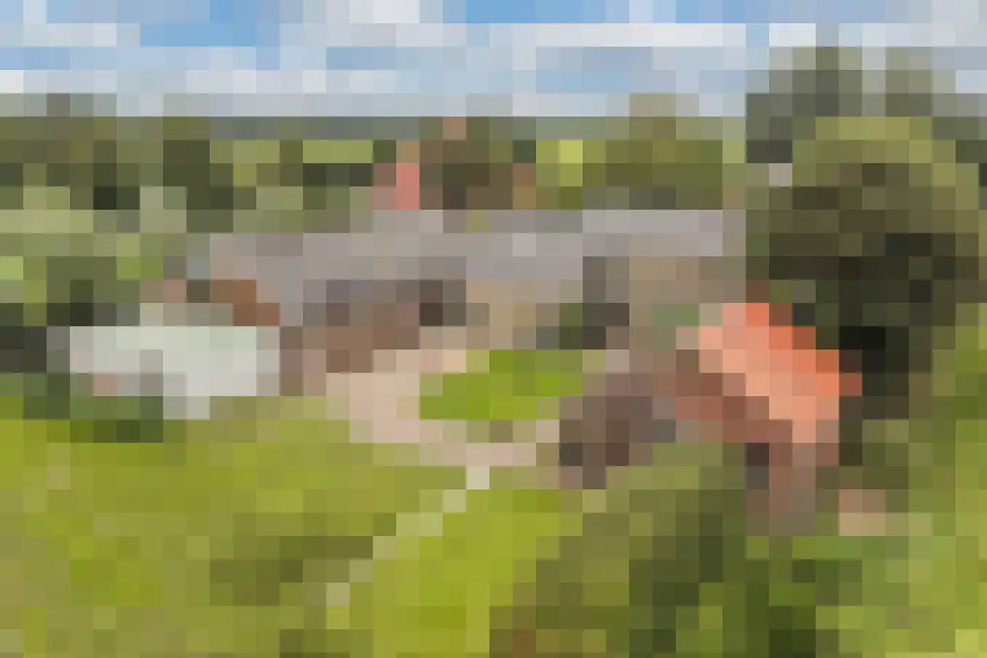 Jetze Veldstraweg 4 Ouwsterhaule thumbnail 44