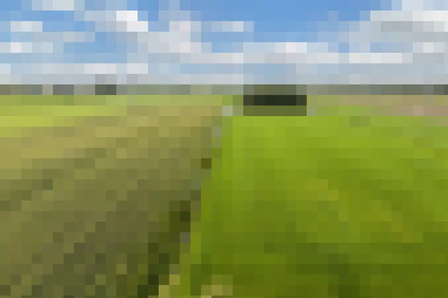 Jetze Veldstraweg 4 Ouwsterhaule thumbnail 46