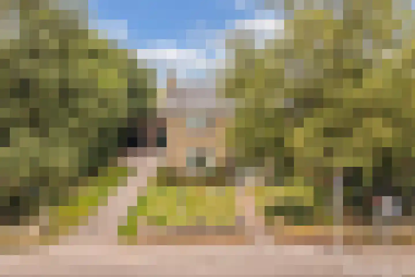 Jetze Veldstraweg 4 Ouwsterhaule thumbnail 51