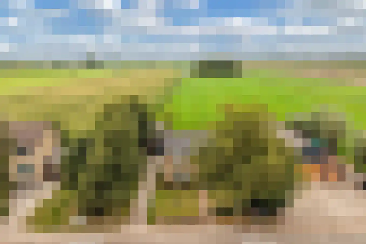 Jetze Veldstraweg 4 Ouwsterhaule thumbnail 52