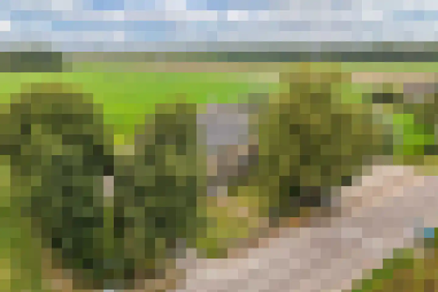 Jetze Veldstraweg 4 Ouwsterhaule thumbnail 53