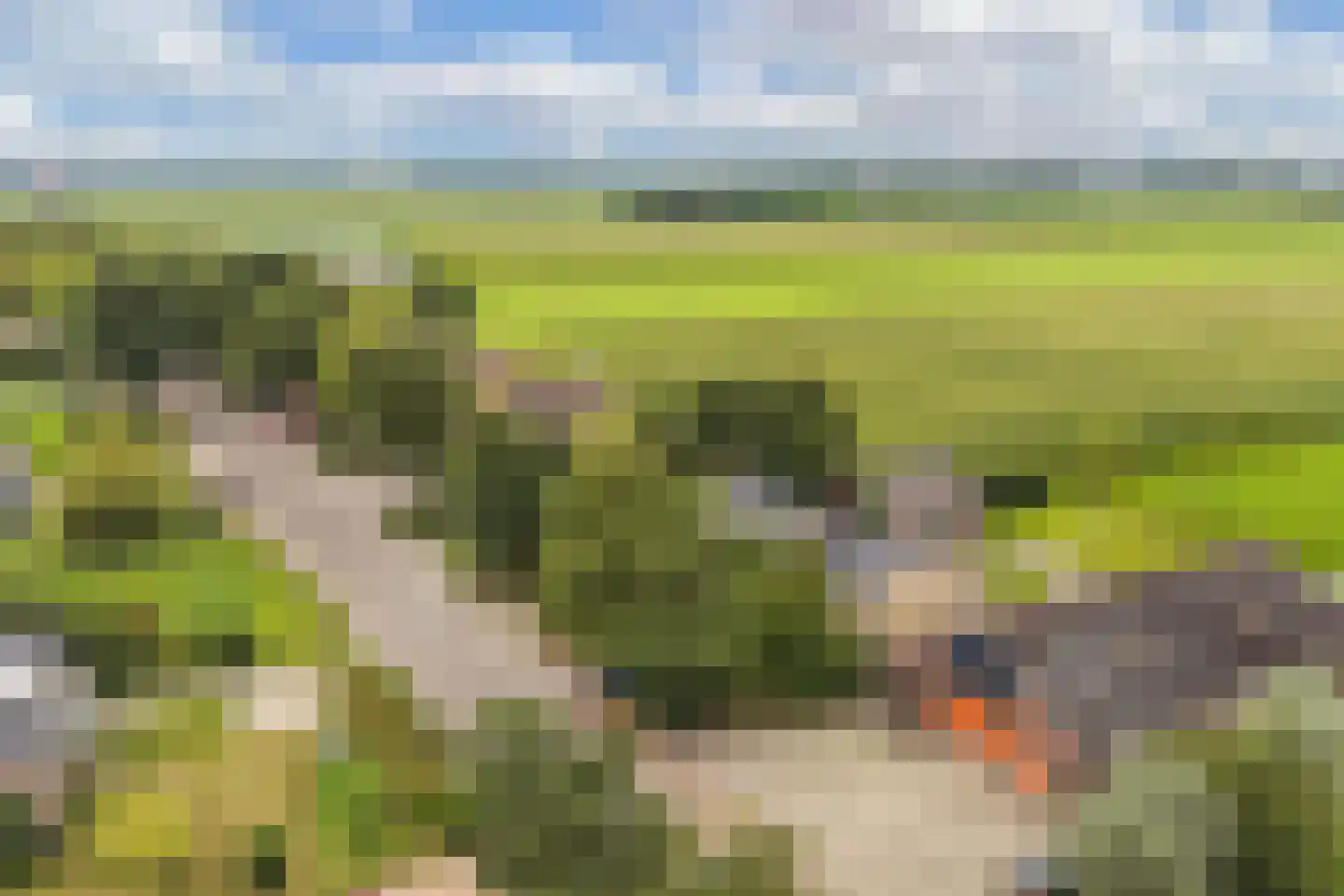 Jetze Veldstraweg 4 Ouwsterhaule thumbnail 54