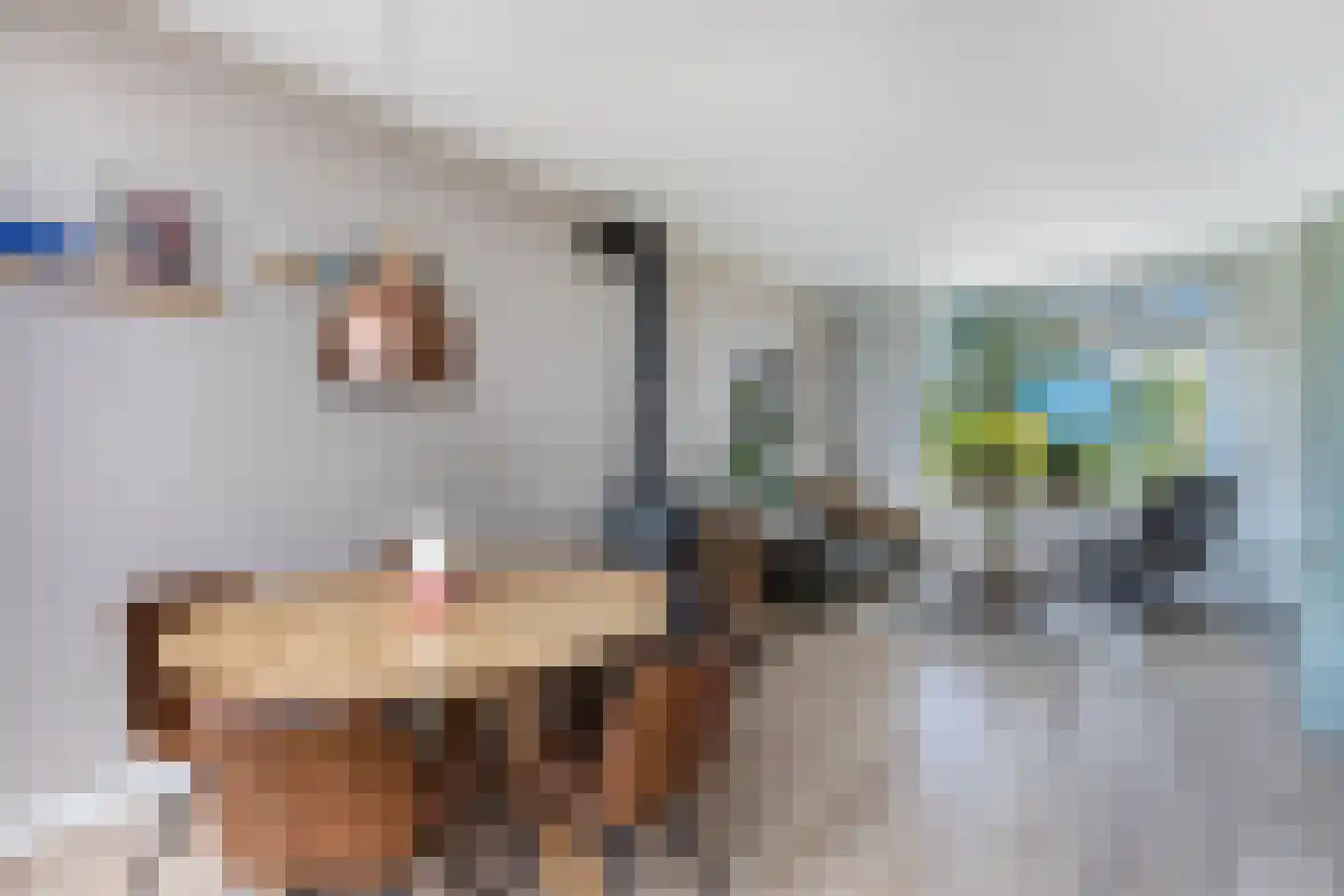 Jetze Veldstraweg 6 Ouwsterhaule thumbnail 15