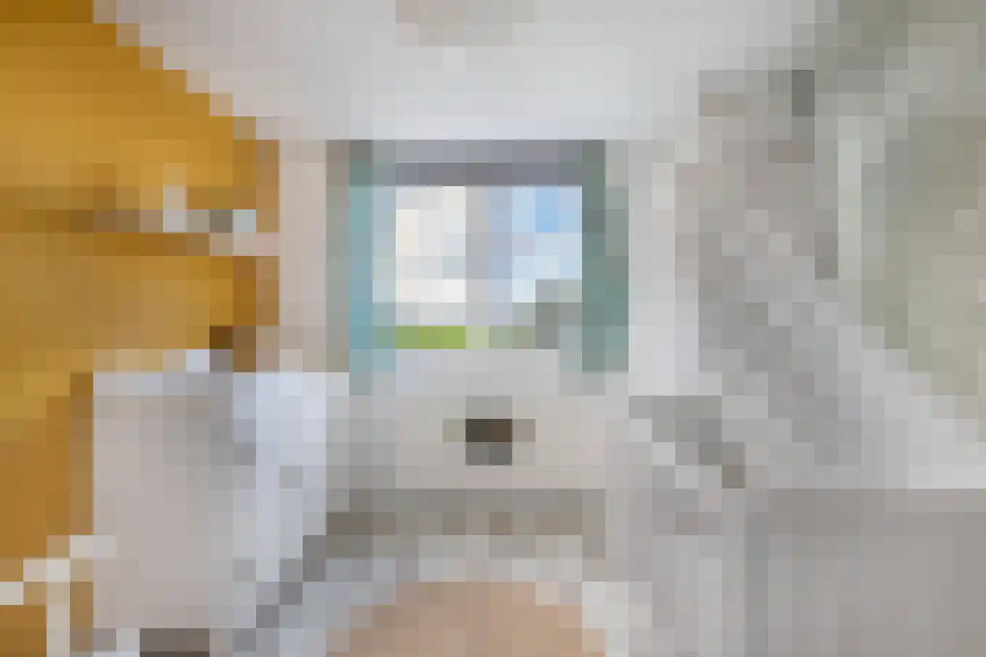 Jetze Veldstraweg 6 Ouwsterhaule thumbnail 25