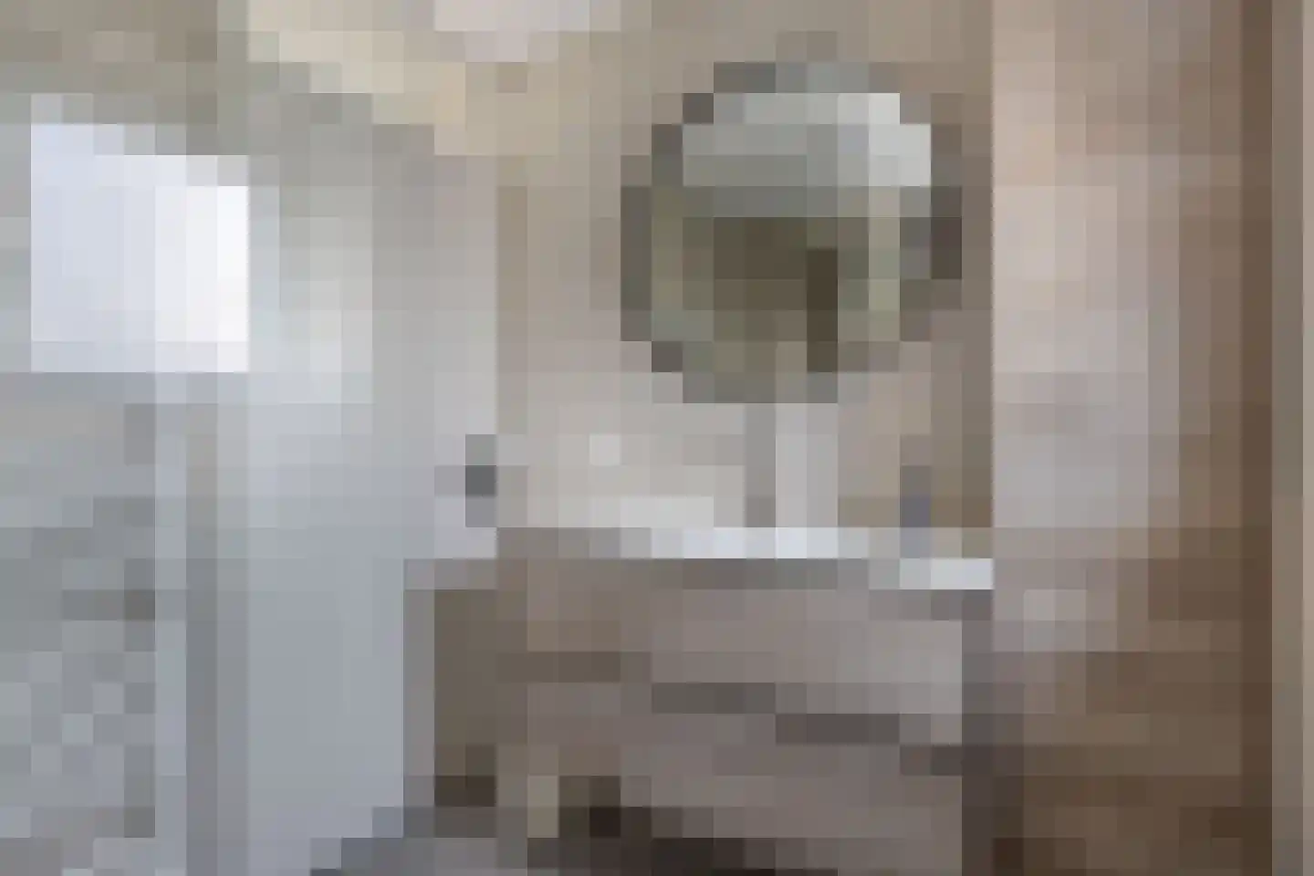 Jetze Veldstraweg 6 Ouwsterhaule thumbnail 33