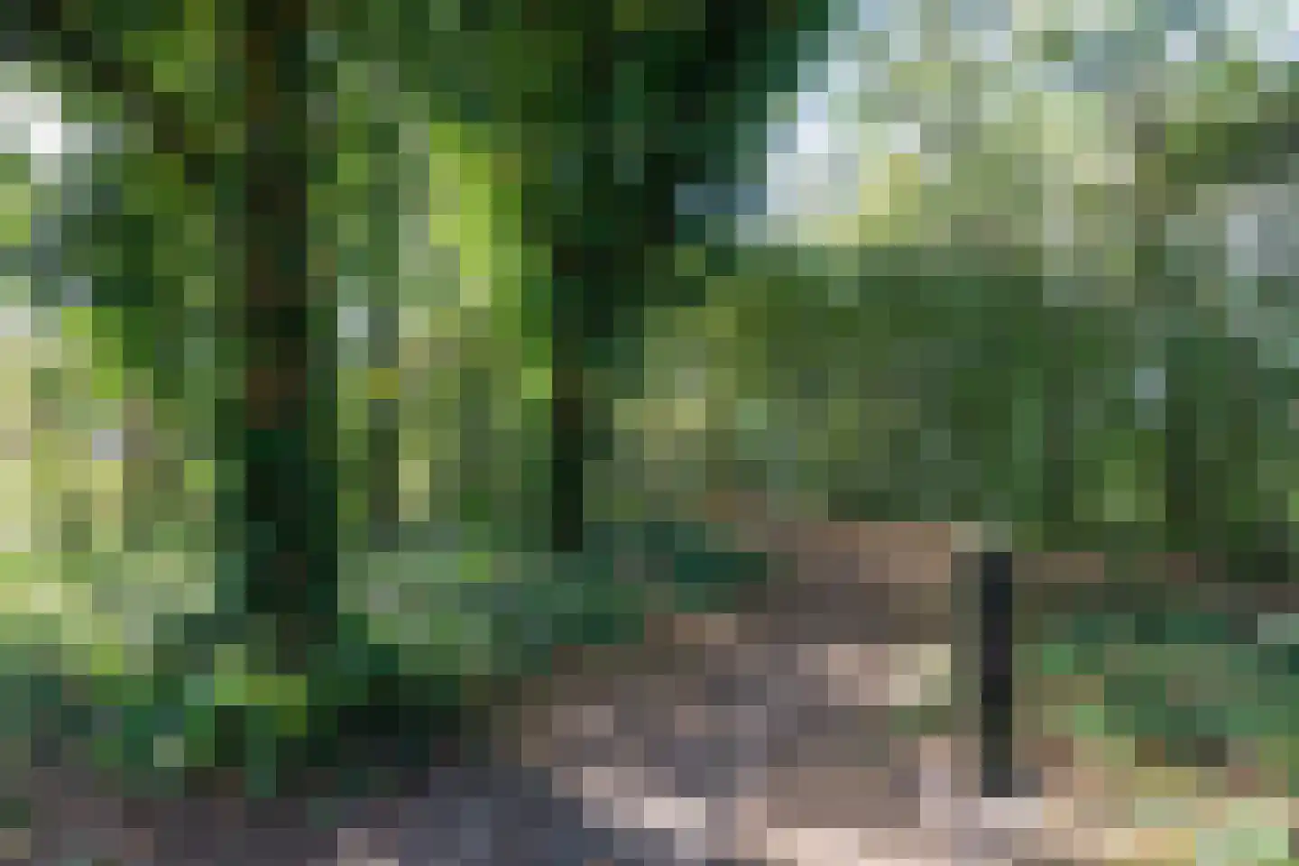 Jetze Veldstraweg 6 Ouwsterhaule thumbnail 45