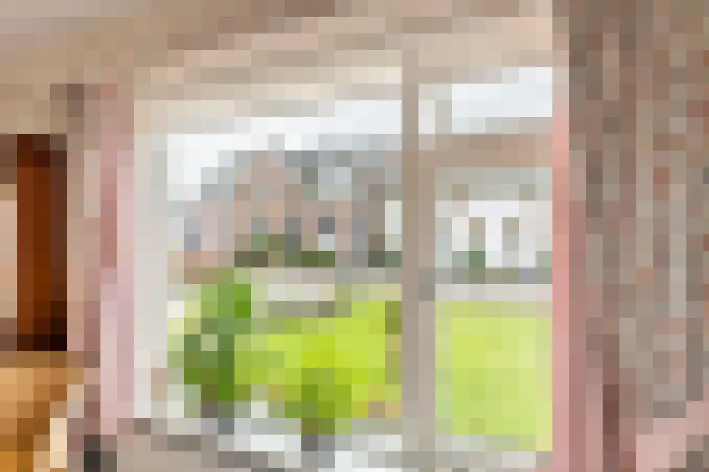 Jeudestraat 18 Zoelen thumbnail 11